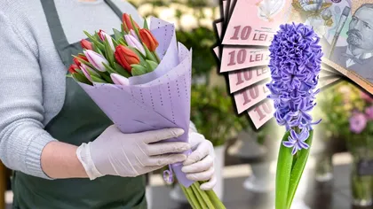 Cât costă zambilele și lalelele direct de la producător. Mulți bărbați le vor oferi de Dragobete, 1 și 8 martie