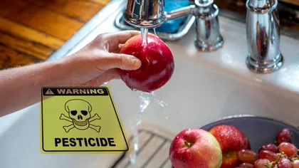 Cum se spală corect fructele pentru a îndepărta pesticidele. Paşii de urmat, multe gospodine îi ignoră