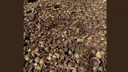 Test de atenţie. Unde este cheia din imagine? Poţi fi uşor indus în eroare