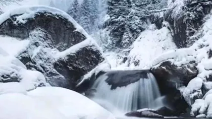 Test de inteligenţă pentru finalul iernii. Doar 1% pot vedea ursul polar ascuns printre munţii de gheaţă