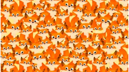 Test de inteligenţă perfect pentru o dimineaţă de miercuri. O veveriţă este ascunsă printre vulpiţe, o poţi vedea?