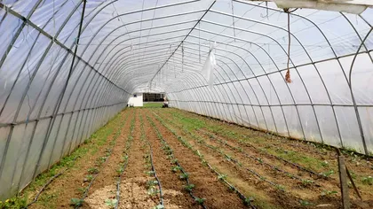 Cum scapi de umezeala din solar. Secretele agricultorilor de top