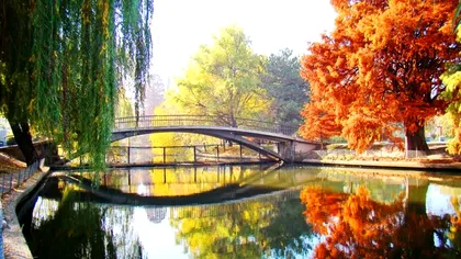 Din ce limbă provine numele Herăstrău, de fapt. Cum se numește acum parcul iubit de milioane de bucureșteni