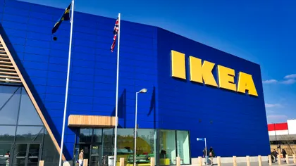 Cum distruge IKEA pădurile din România. Investigația făcută de Greenpeace în țara noastră