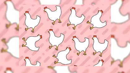 Test de IQ pentru ziua de joi. Care este găina ciudată din imagine? Are ceva special