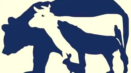 Câte animale sunt, de fapt, în imagine? Testul care te induce imediat în eroare, verifică rezultatul corect