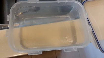 Cum se curăță eficient recipientele de grăsime. Ai totul la îndemână fără să știi
