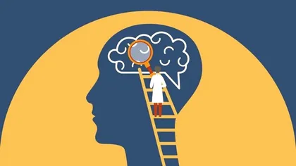 Test de cultură generală. La câte poţi să răspunzi corect? Tu ştii care este animalul nemuritor?