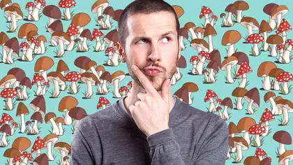 Test de rapiditate intelectuală. Salvează ciupercile de şoricel! Îl găseşti în mai puţin de 5 secunde?