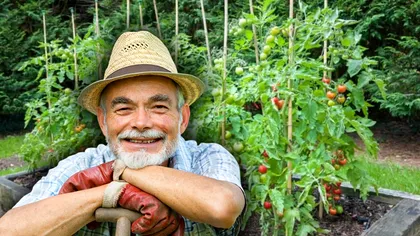 Trucul simplu care alungă coropișnițele din grădină. Și tu poți să prepari această soluție acasă, scapi definitiv de ele