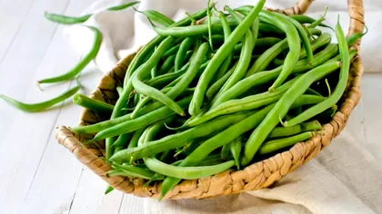 Cu ce să stropești fasolea de păduchi. Metoda simplă cu rezultate garantate