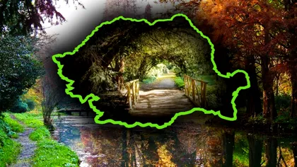 Parcul din Capitală care s-a transformat dintr-o junglă într-un colț de rai. E unic în București, însă puțini au aflat de el