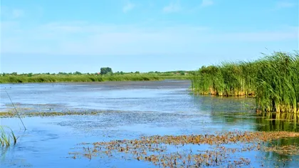 Paradisul din România considerat ”Amazonul Europei”. Turiștii străini au doar cuvinte de laudă, ce i-au fascinat aici