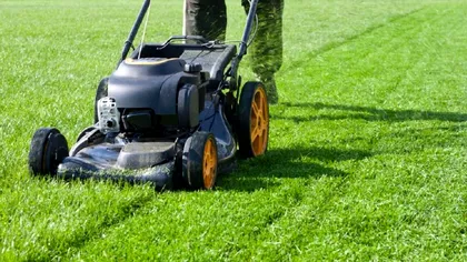 Cât de scurt se tunde gazonul. Regula pe care o aplică grădinarii profesioniști, așa rămâne verde până toamna târziu