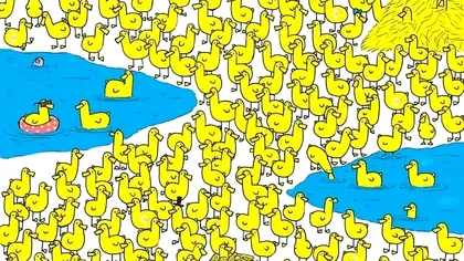 Cea mai grea iluzie optică pentru weekend. Câte monede poți găsi în 6 secunde?