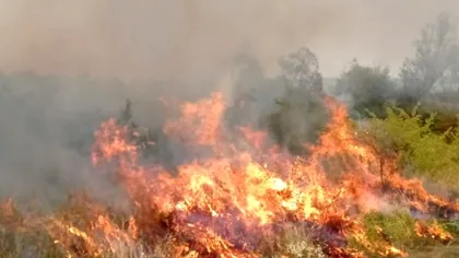 Incendiu devastator în Mehedinți. Un sat întreg, la un pas să fie distrus de flăcări