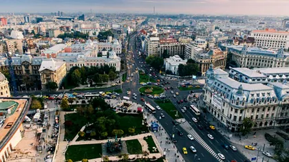 Spectacol pe străzile din București, după ce o specie superbă a înflorit: “E prima dată când le văd înflorite în plină vară”