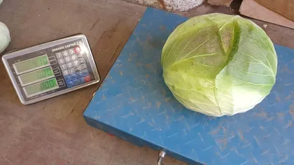 Noua țeapă cu varza. Zeci de români, înșelați. Cum funcționează noua escrocherie: “Am plătit 60 de kilograme și am primit de fapt 30”