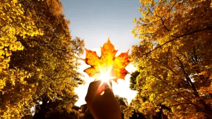 Vreme neobișnuită în luna noiembrie. Meteorologii au actualizat prognoza. Când sunt așteptate primele ninsori