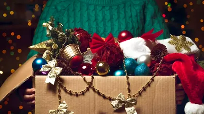 Ce decorațiuni de Crăciun sunt periculoase pentru copii și animalele de companie. Cel mai bine e să le eviți