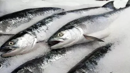 Ce trebuie să faci ca peștele congelat să aibă gust proaspăt. Trucul simplu cu un singur ingredient