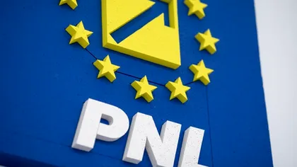 De ce lipsește PNL de pe buletinele de vot pentru alegerile parlamentare 2024 ale românilor din diaspora