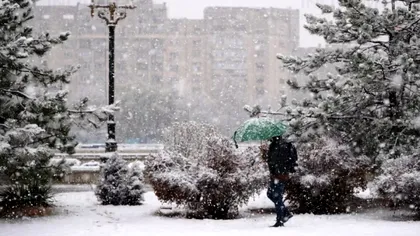 Ninge în Capitală în a doua zi de Crăciun 2024. Primele imagini cu prima ninsoare din București