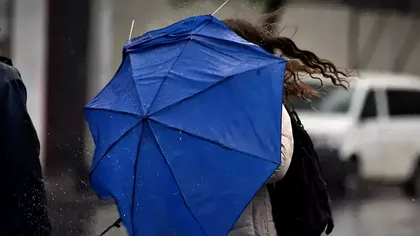 Vântul puternic face ravagii în toată țara. 70 de mașini avariate, zeci de copaci rupți în București și Ilfov