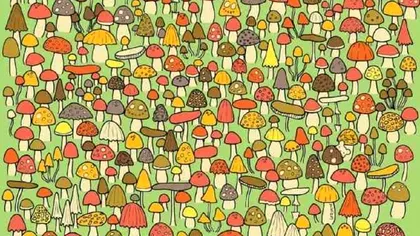 Doar cei cu privirea ageră pot găsi șoricelul ascuns din imagine în doar 5 secunde. Doar 3% dintre internauți au reușit