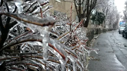 Fenomenul meteorologic rar din cauza căruia 50 de persoane au ajuns la spital în Cluj-Napoca. Cum s-a manifestat