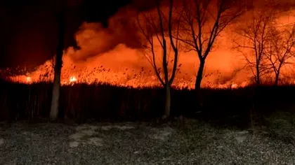 Incendiu puternic în Delta Dunării, în apropiere de Sulina. ISU face apel la populație