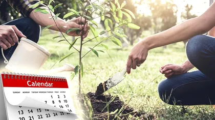 Ce se pune la rădăcina copacilor în luna februarie pentru o recoltă bogată toamna? Detaliul ştiut doar de agricultorii cu experienţă