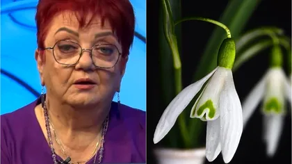 Horoscopul pentru martie 2025. Minerva aduce veşti rele pentru câteva zodii, vor fi îngenuncheate de greutăţi