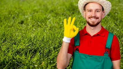 Produsul de 15 lei din baie care îţi face iarba mai verde ca niciodată. Trebuie să îl presari pe gazon primăvara