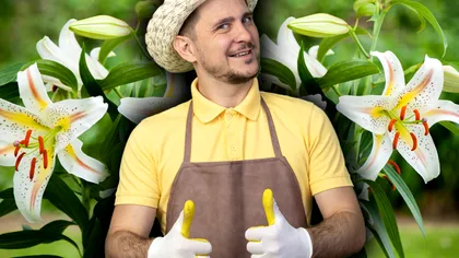 Produsul de 50 de bani care îţi transformă grădina. Plantele şi iarba vor creşte într-un ritm ameţitor