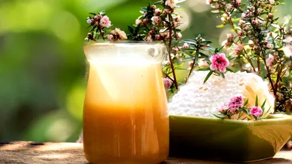Beneficiile terapeutice ale mierii de manuka pentru tractul digestiv (P)