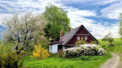 De ce se lasă casa în timp. Semne că fundația are probleme și ce e de făcut