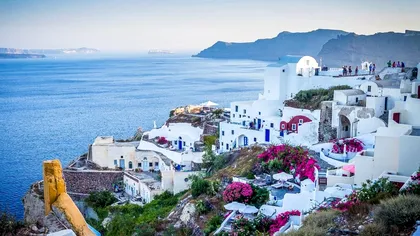 Planta de balcon care te face să te simţi ca în Grecia. Este plină de culoare, urcătoare şi foarte uşor de îngrijit