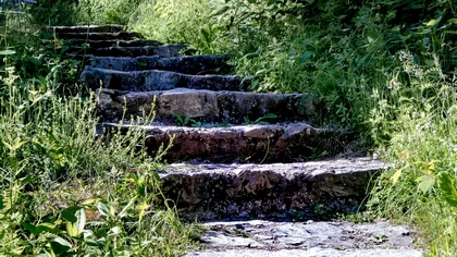 Ce să presari peste dalele din curte pentru a scăpa de buruieni. Nu vor mai ieşi printre bucăţile de ciment