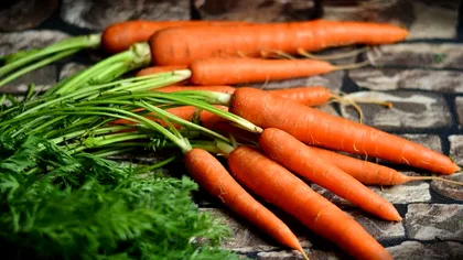 Cum să uzi și să fertilizezi morcovii în iulie ca să previi uscarea și să obții o recoltă bogată