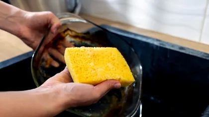 De ce se recomandă să ții un burete de vase umed în congelator în perioadele de caniculă. Trucul genial pe care puțini îl știu