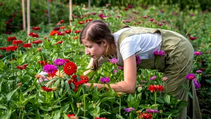 Românii care stau la curte, îndemnaţi să pună un burete în grădină, în luna iulie. Plantele se vor transforma total