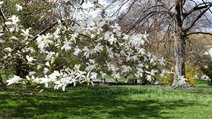 Prognoza meteo pentru luna aprilie. Vremea va fi capricioasă, când se încălzeşte cu adevărat