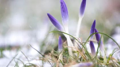 Anticiclonii revin peste Europa: ce înseamnă asta pentru vreme. Un nou episod de ger este aşteptat în următoarea perioadă
