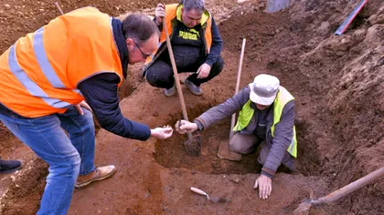 Descoperirea din România care poate schimba istoria. Ce au descoperit arheologii la marginea Oradei