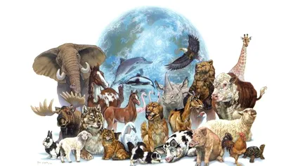 Animalul cu cea mai lungă coadă din lume. Descoperă speciile care dețin recordul
