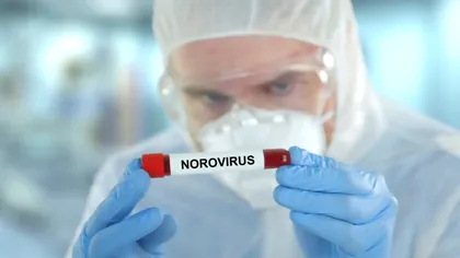 Ce este norovirusul, de ce au explodat cazurile de infecție și semnalul de alarmă de la OMS – tot ce trebuie să știi și cum te poți proteja