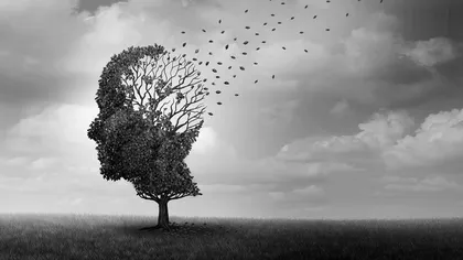 Un studiu radical propune o cauză unică pentru a explica boala Alzheimer