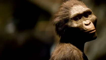 Când omul modern a ajuns să ocupe cele 7 continente. Aventura Homo Sapiens care s-a schimbat mult de-a lungul anilor