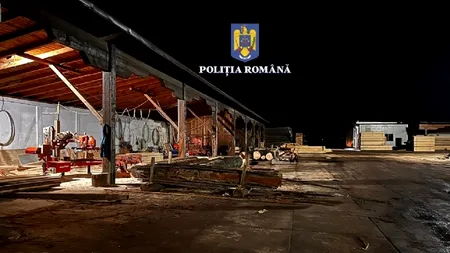 Descinderi în forță la mafia lemnului din România. Percheziții în aproape jumătate din țară